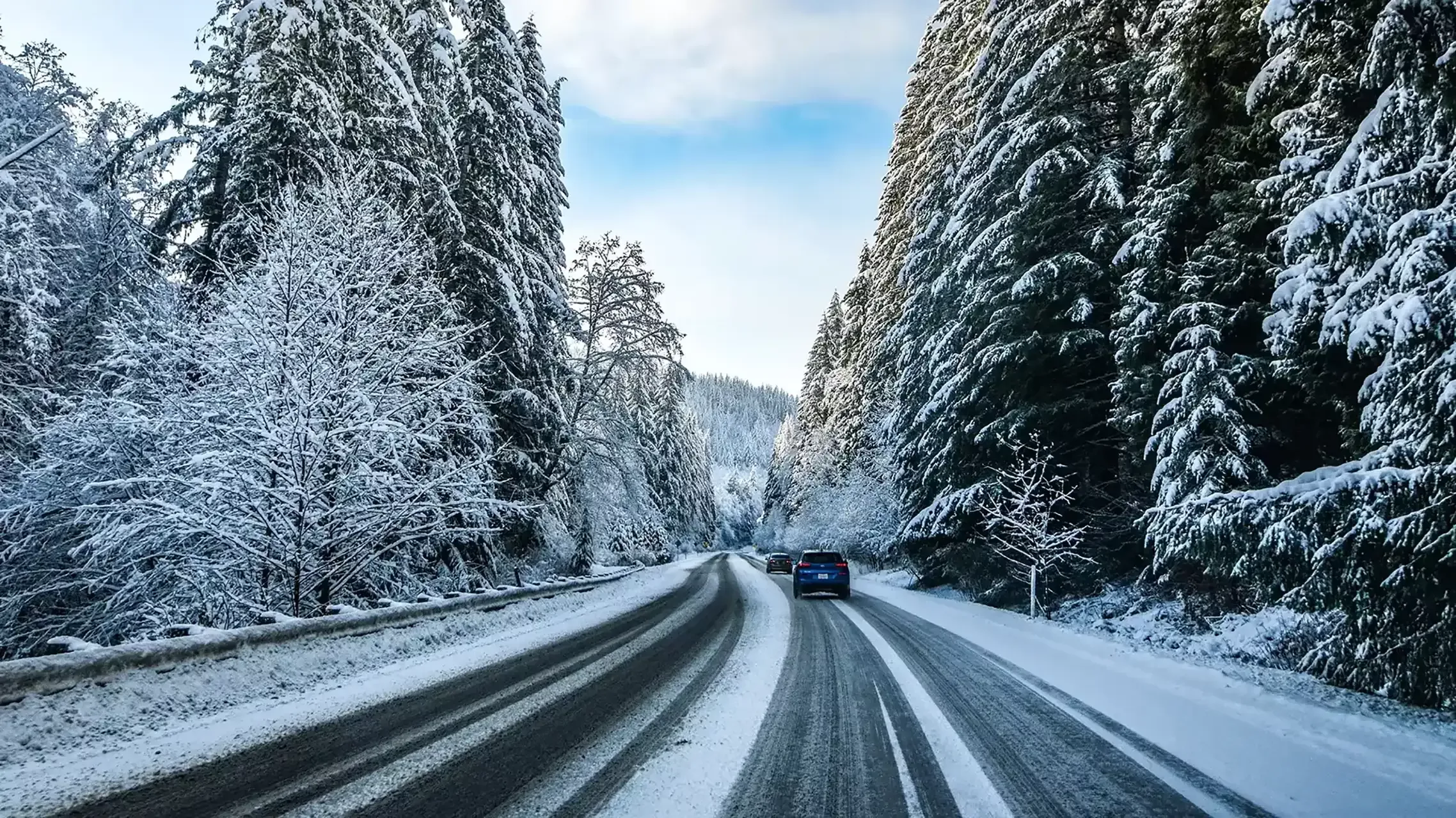 Yokohama BluEarth Winter V905 Winter Passenger Tires Online